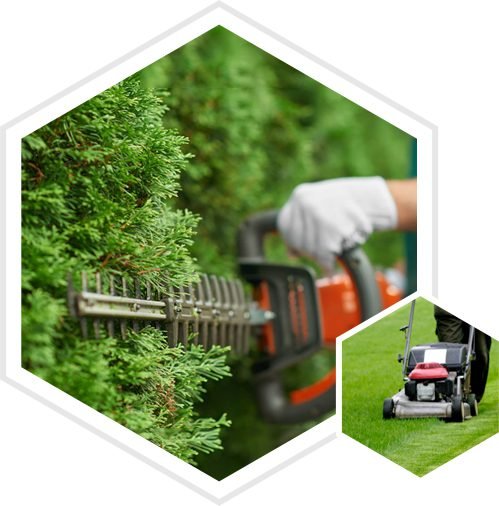 Body Corporate Cleaning in Australia